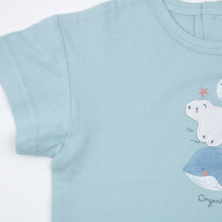 민트베이직반소티