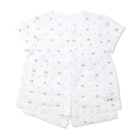 플로리반소내의