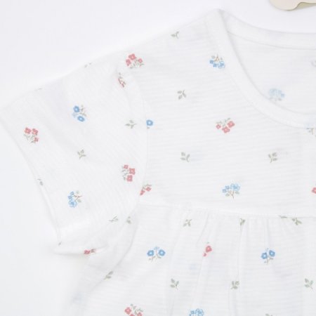 플로리반소내의