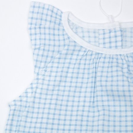 체코리민소내의