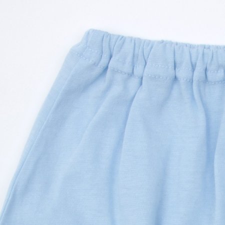 체코리민소내의