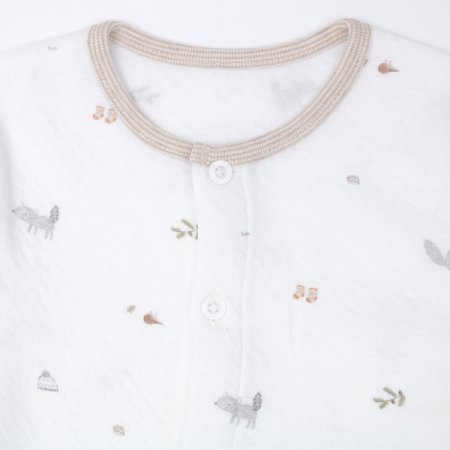 브로디긴소내의