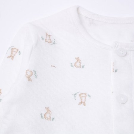 토토비긴소내의