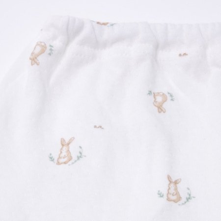 토토비긴소내의