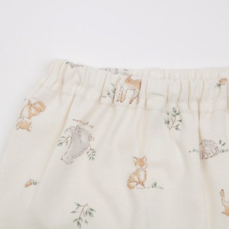 지니어긴소내의