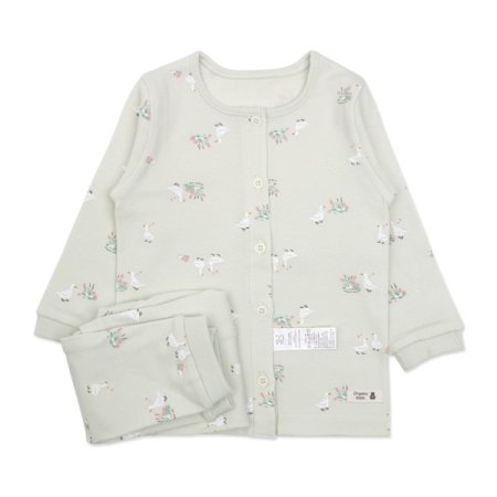 에콜리긴소내의 