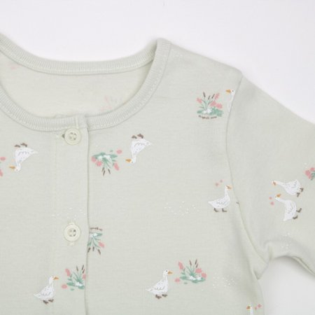 에콜리긴소내의 