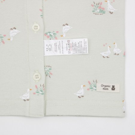 에콜리긴소내의 