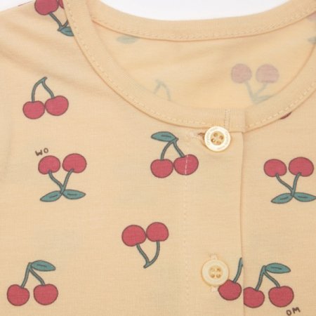 체리아긴소내의 