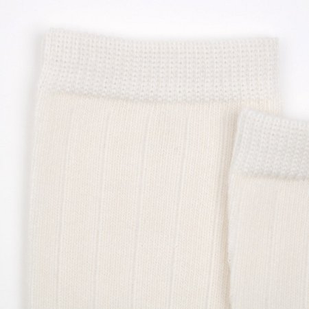 고미골지반타이즈