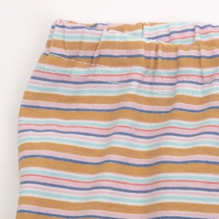 롤리핀긴소내의