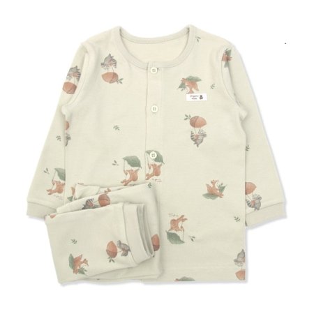 로미즈긴소내의