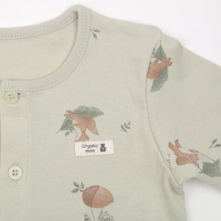 로미즈긴소내의