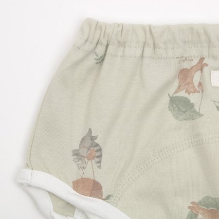 로미즈배변팬티