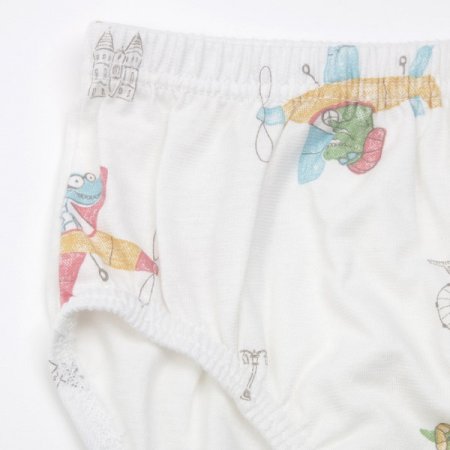 디플라남아브리프