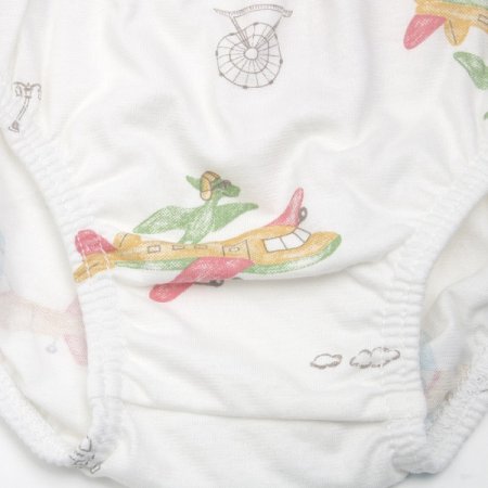 디플라남아브리프