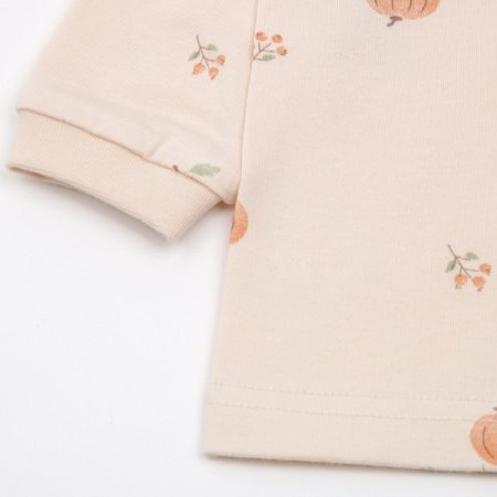 루아즈긴소내의