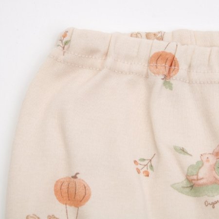 루아즈긴소내의