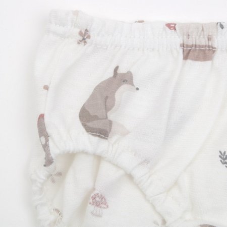 리오스여아팬티