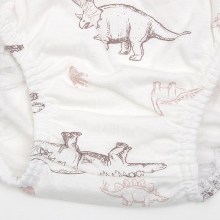 인디노크남아브리프