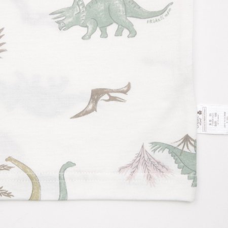 아르크남아런닝