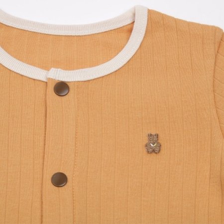 진솔리긴소내의