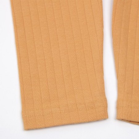 진솔리긴소내의