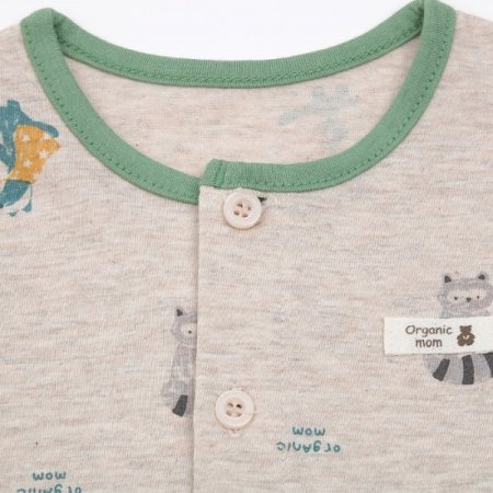 라쿠닝긴소내의