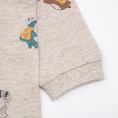 라쿠닝긴소내의