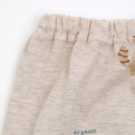 라쿠닝긴소내의