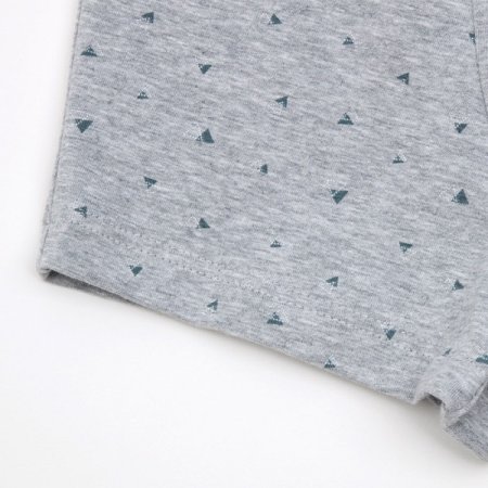 버즈비남주 팬티