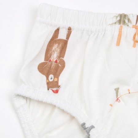 윈클남아브리프