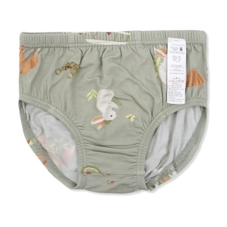 클루밍남아브리프