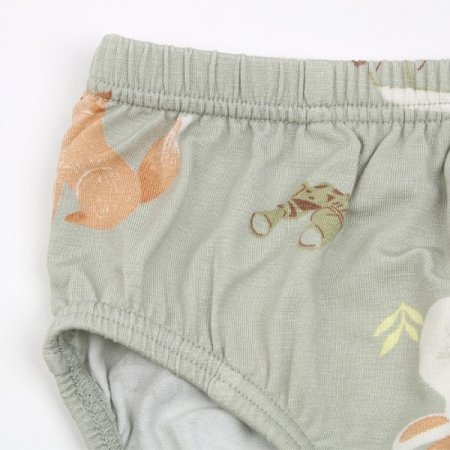 클루밍남아브리프