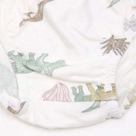 아르크남아브리프