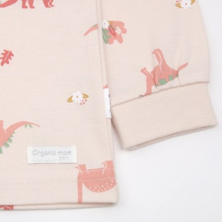 플로디노여아긴소아동내의