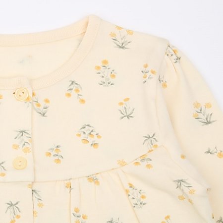 라헨느긴소내의