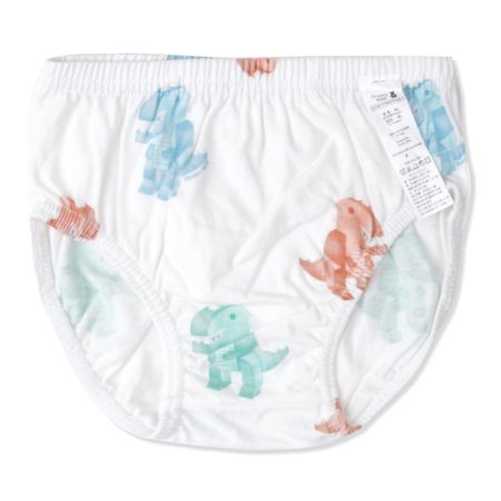 블럭디노브리프