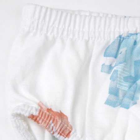 블럭디노브리프