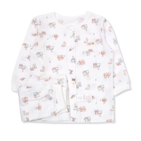 플레뜨긴소내의