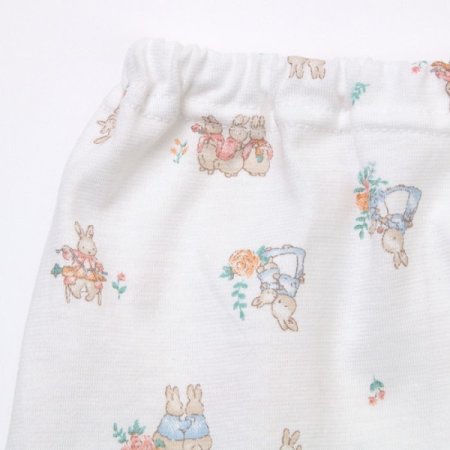 플레뜨긴소내의