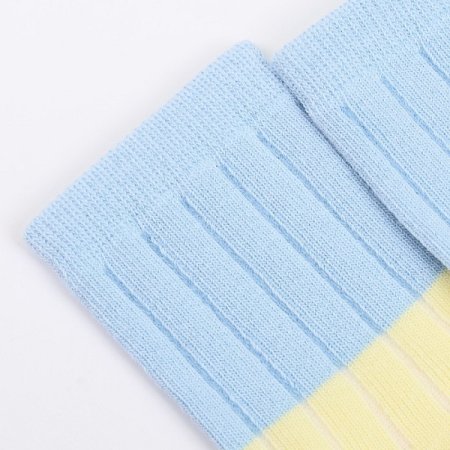 베어솔루반타이즈