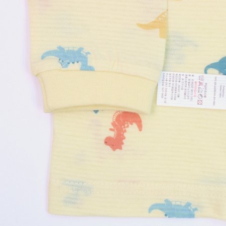 헬로디노긴소내의