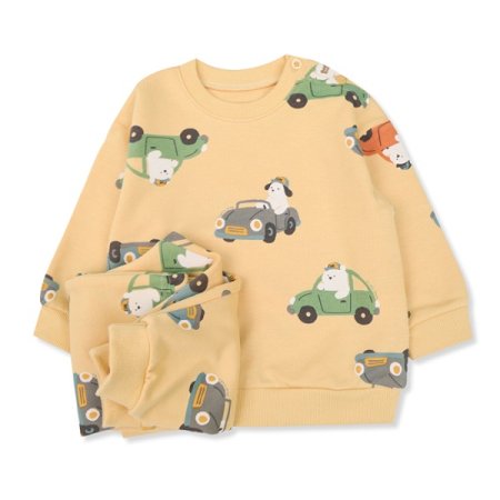 붕붕카긴소이지웨어