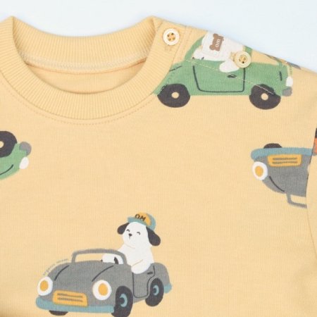 붕붕카긴소이지웨어