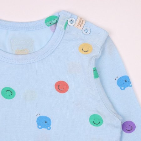 보니타긴소내의