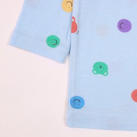 보니타긴소내의