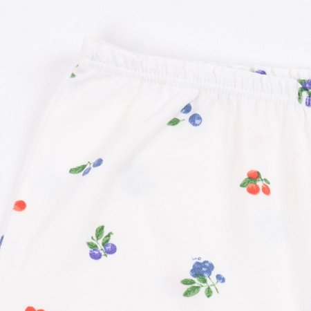 블루프룻여아드로즈