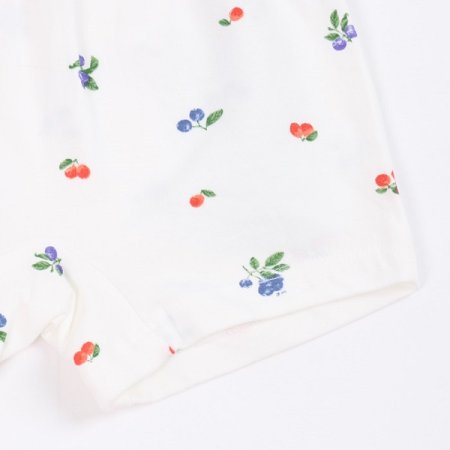 블루프룻여아드로즈