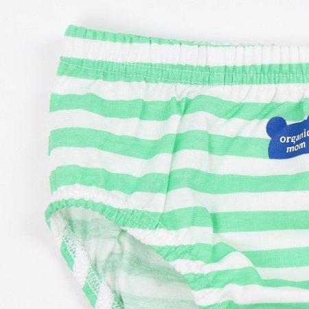 바이린남아브리프